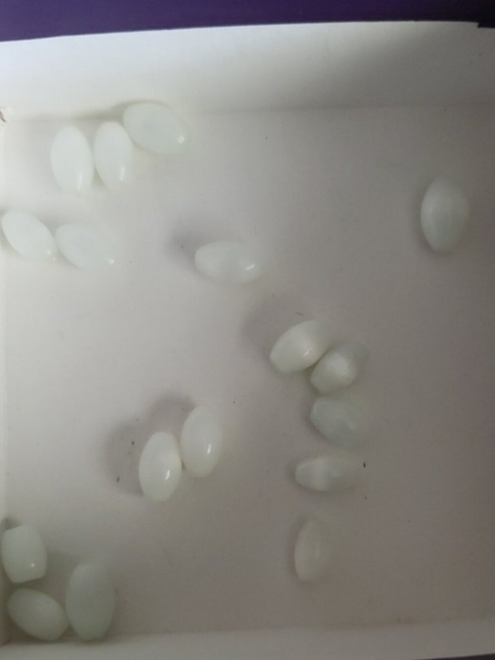 Qty 17 White Cat's Eye Rice Beads